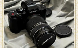 松下微单怎么样_松下微单值得买吗