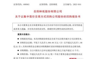 岳阳林纸股票怎么样_值得长期持有吗
