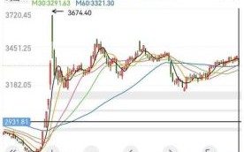 大森林股票值得买吗_大森林股票未来走势