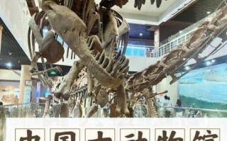 北京古生物博物馆门票价格_开放时间