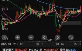 002183股票怎么样_未来走势预测