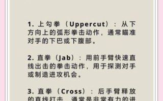 拳击初学者怎么入门_拳击训练多久见效