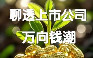 万向集团股票怎么样_万向集团股票值得买吗