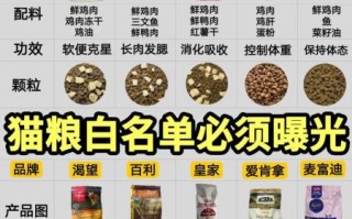 猫粮哪个牌子好_幼猫吃什么猫粮