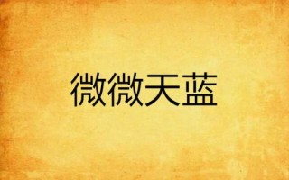 微微怎么样_微微好用吗