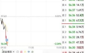 水井坊股票怎么样_水井坊股票值得长期持有吗