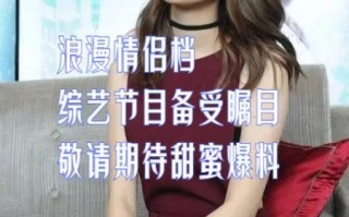 综艺节目如何盈利_观众为什么爱看真人秀