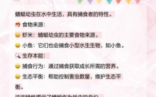 蜻蜓怎么养_蜻蜓吃什么食物