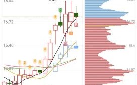 星湖科技股票值得买吗_星湖科技股票未来走势