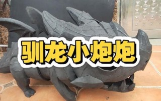 小炮怎么样_小炮值得买吗