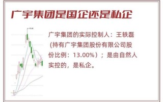 广宇集团股票怎么样_广宇集团股票值得长期持有吗