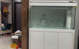 鱼缸什么牌子好_鱼缸多久换一次水