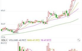 双林股份股票值得买吗_最新走势分析