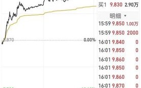 300238股票怎么样_值得长期持有吗