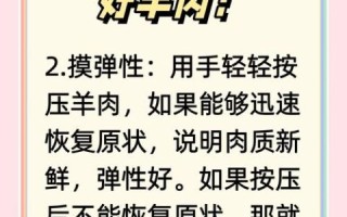 羊肉价格为什么波动这么大_如何挑选新鲜羊肉
