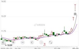雅化集团股票怎么样_雅化集团值得长期持有吗