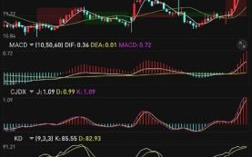 大立科技股票股吧最新消息_大立科技未来走势如何
