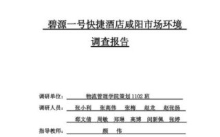 酒店市场调研怎么做_酒店市场调研报告模板