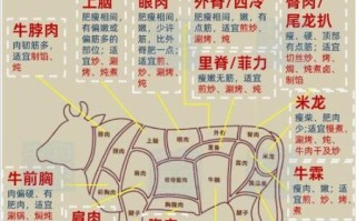 牛肉价格为什么上涨_如何挑选新鲜牛肉
