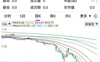 wdc股票值得长期持有吗_wdc股票未来走势预测