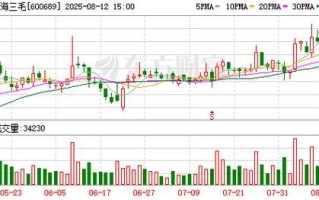 600689上海三毛股票怎么样_值得长期持有吗