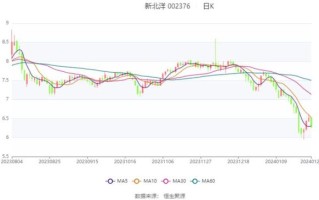 新北洋股票值得长期持有吗_新北洋股票未来走势如何