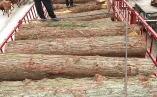 杉木价格多少钱一方_杉木市场行情走势