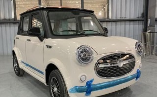 代步车怎么样_老年人代步车哪款好