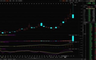 长白山股票今日走势_长白山股票还能买吗