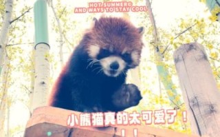 北京动物园几点开门_北京动物园开放时间