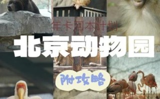 北京动物园门票多少钱一张_2024最新价格