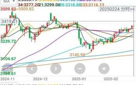 600653今日股价_600653未来走势预测