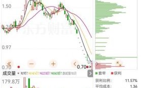 嘉麟杰股票怎么样_嘉麟杰股票值得买吗