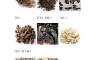 中药饮片价格为什么差距大_如何辨别真假中药材