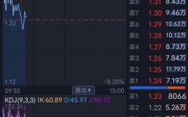 002424股票怎么样_贵州百灵未来走势