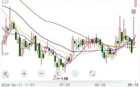 瑞贝卡股票未来走势_还能涨吗