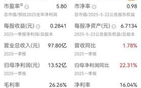 深圳能源股票怎么样_深圳能源股票值得长期投资吗