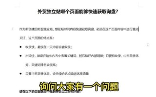 外贸独立站怎么做推广_如何快速获取精准询盘