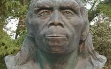 北京人图片哪里找_北京老照片高清下载