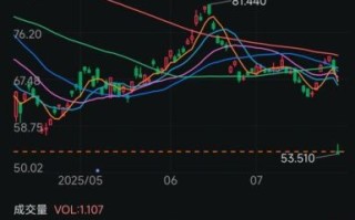 600110股票怎么样_诺德股份投资价值分析
