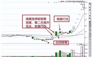 今日涨停股票有哪些_如何捕捉下一个涨停机会