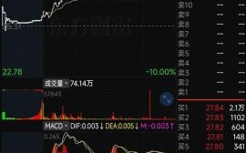 干锋锂业股票值得买吗_干锋锂业股票未来走势