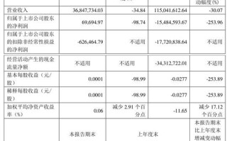 大晟文化股票怎么样_大晟文化股票值得长期持有吗