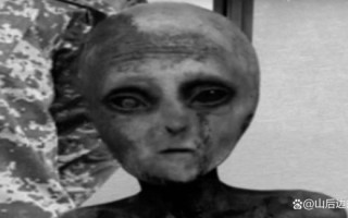 外星人存在吗_外星人长什么样