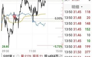 300199股票怎么样_未来走势预测