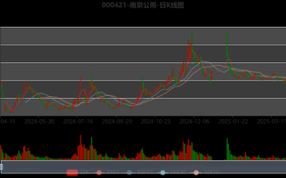 南京公用股票值得买吗_南京公用股票未来走势如何