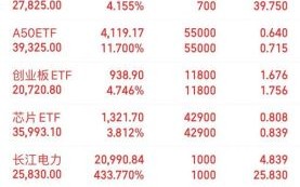新坐标股票怎么样_值得长期持有吗