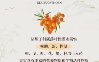 沙棘多少钱一斤_沙棘的功效与作用有哪些