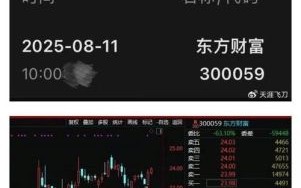 东方财富股票代码是多少_东方财富股票代码查询方法