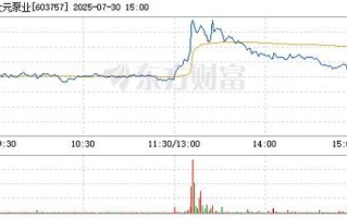大元泵业股票还能买吗_大元泵业股价为何波动